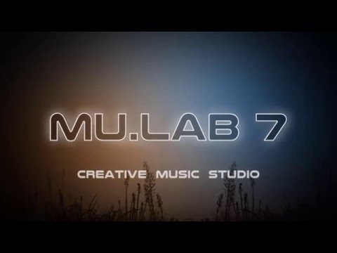 mulab 7 review